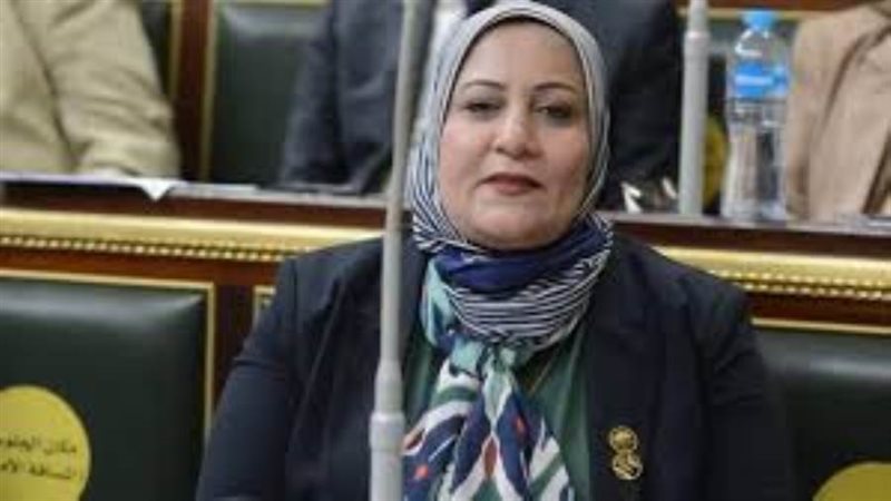 النائبة غادة الضبع