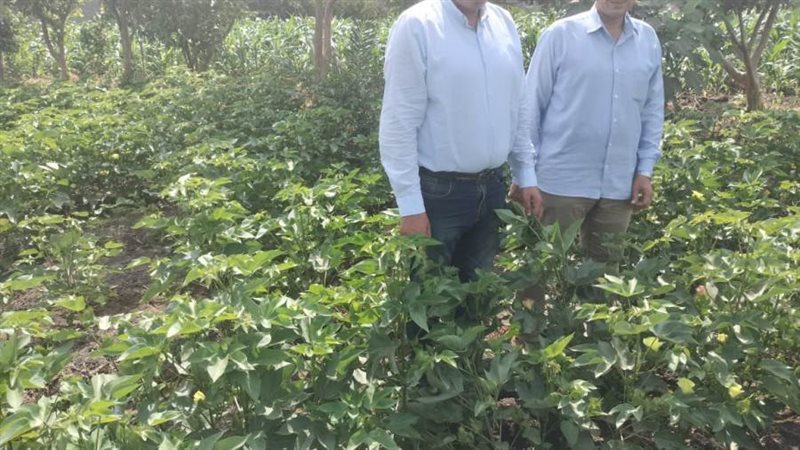 وكيل وزارة الزراعة