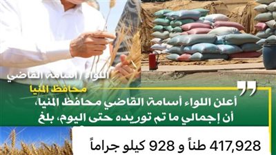 منذ بدء الموسم.. توريد 418 ألف طن قمح بالشون والصوامع بالمنيا