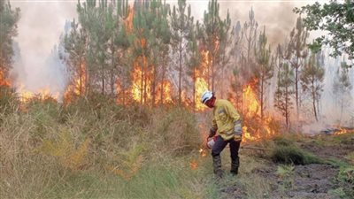 اندلاع أكثر من 40 حريقًا بنهاية الأسبوع في اليونان ورئيس الوزراء يحذر من مخاطر انتشارها