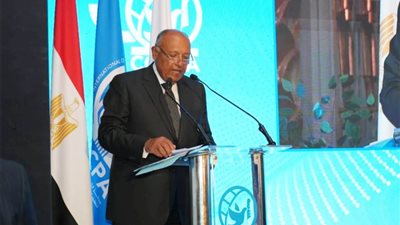 مركز القاهرة الدولي لتسوية النزاعات يحتفل بعيده الثلاثين