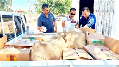 مصادرة 1300 كيلو جبن منتهى الصلاحية وكميات كبيرة من الأسمدة والمبيدات الزراعية لحين إعدامها 