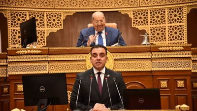 المستشار عبد الوهاب عبد الرازق: تفتيت الأراضي الزراعية يحتاج إلى تشريع للحفاظ عليها