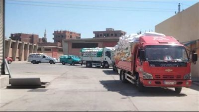 توريد 610 آلاف و870 طنًا من الأقماح المحلية لصوامع وشون الشرقية