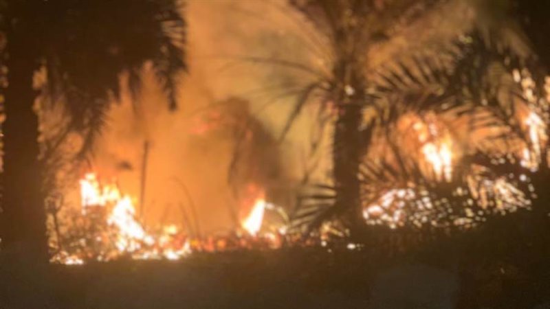 حريق بمزارع نخيل