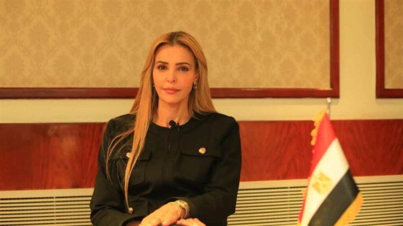 المهندسة مروة حسين