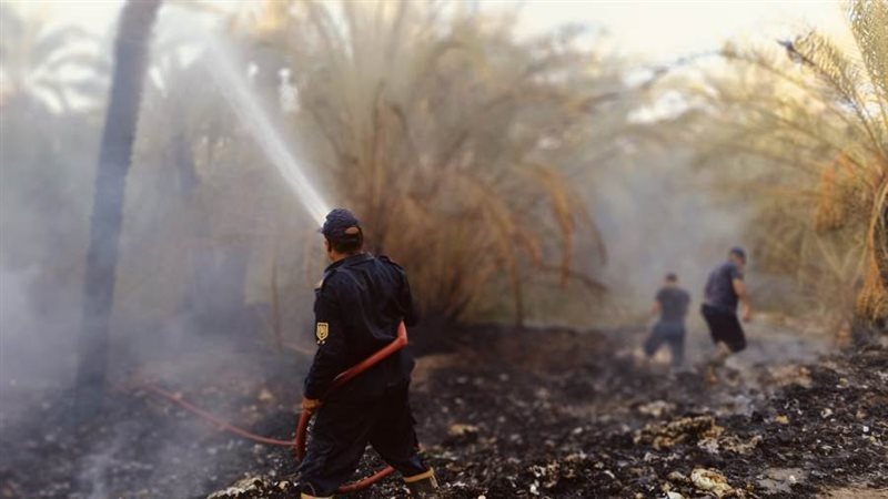 حريق بمزرعة في الوادي