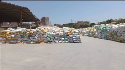 توريد 610988 طنًا من الأقماح المحلية لمراكز التجميع بالشرقية 