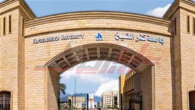 عبدالعال يعلن شروط المشاركة في مشروعات جامعة كفر الشيخ