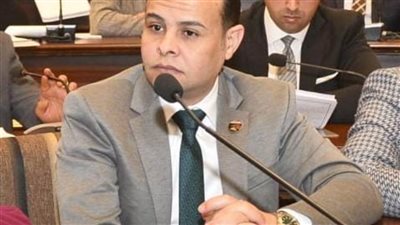 مدحت الكمار: مؤتمر القوى السودانية بالقاهرة يكشف مساعي مصر لوقف الحرب