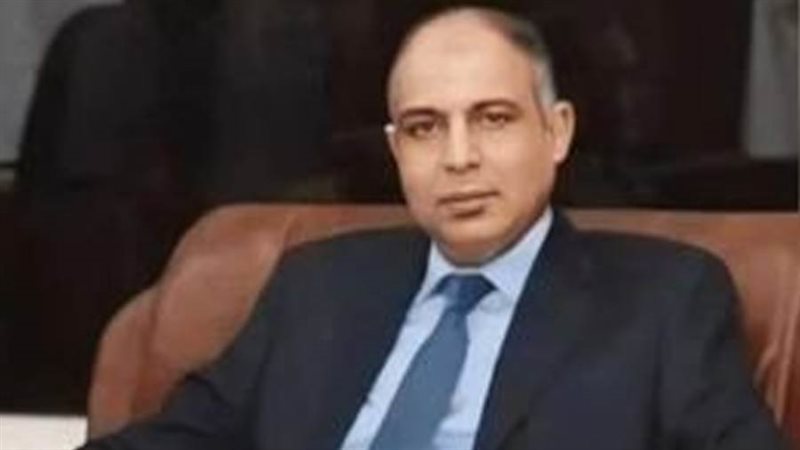 محافظ المنيا عماد