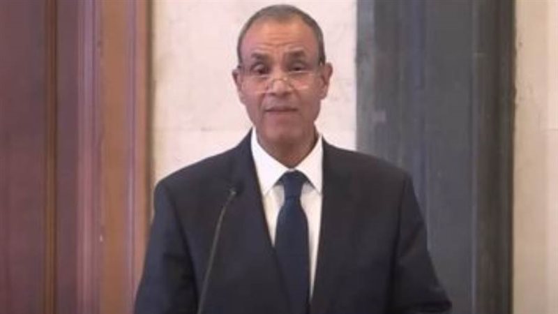 السفير بدر عبد العاطي