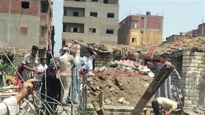 كفر الشيخ تزيل التعديات على الأراضي الزراعية 