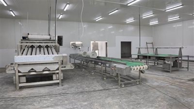 الفريق ربيع: طفرة كبيرة في حجم الاستزراع السمكي بعد انتهاء عملية تطوير الأحواض