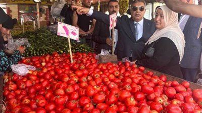 في جولة مفاجئة.. محافظ الدقهلية يرصد مخالفات بـ3 مخابز 