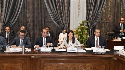 المستشار محمود فوزي: لجنة النواب لدراسة برنامج الحكومة تعكس قدرًا كبيرًا من التنوع والاتساع