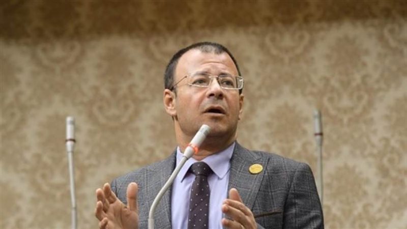 النائب محمود البرعي