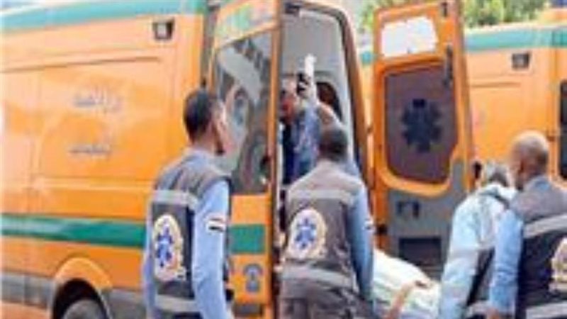 بوابة روز اليوسف