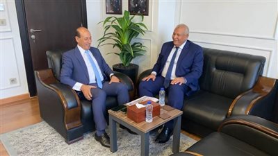 نصف مليار جنيه لإنشاء محورين في الوادي الجديد