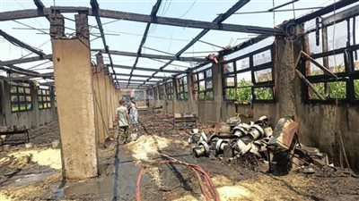 بالصور.. السيطرة على حريق نشب بمزرعة دواجن في الغربية