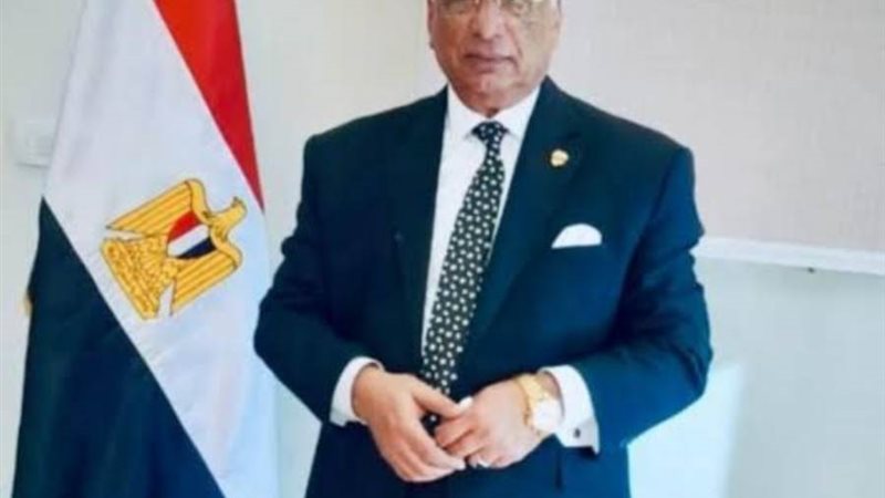 رئيس قضايا الدولة