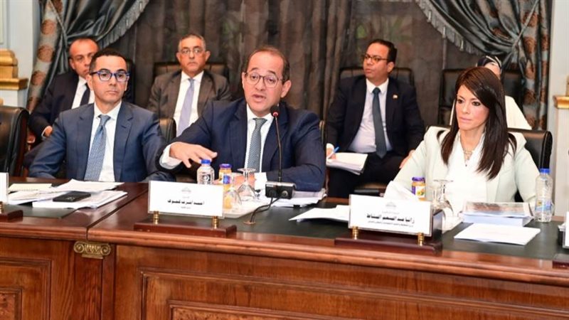 وزير المالية خلال