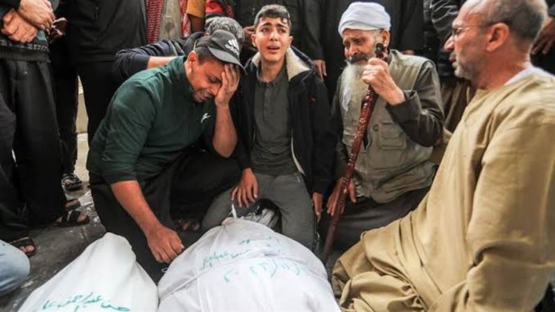 بوابة روز اليوسف