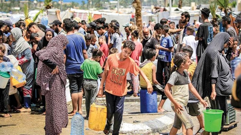 بوابة روز اليوسف