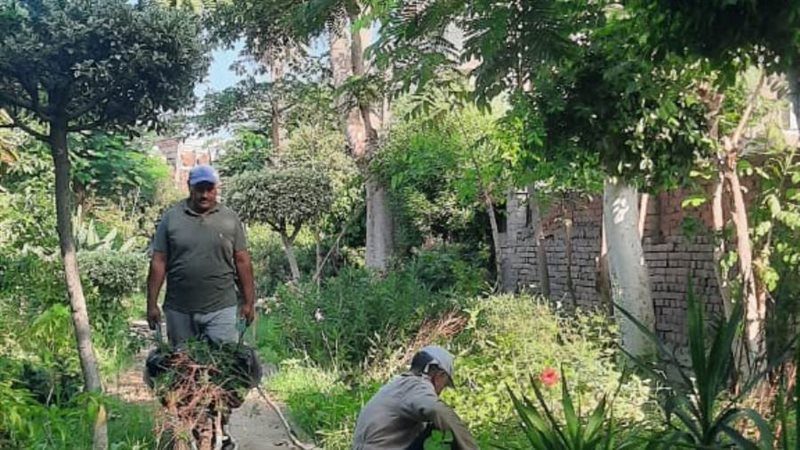 جانب من أعمال التجميل