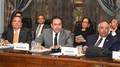 رئيس شباب النواب يطالب الحكومة بالاستفادة من 10ملايين مصري بالخارج وحل مشاكل المستثمرين