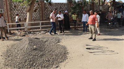 تآكل أجزاء من كوبري قرية بدهل ببني سويف
