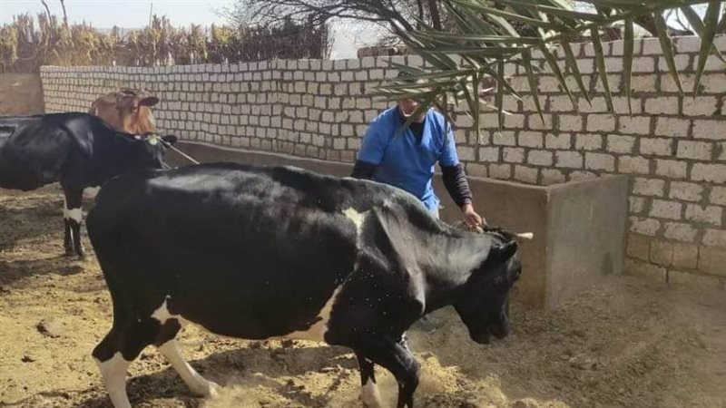 تحصين الثروة الحيوانية