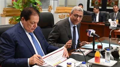 بحضور ٦ وزراء.. لجنة 