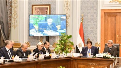 ياسمين فؤاد:  تستعرض محور البيئة فى برنامج الحكومة الجديد