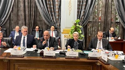 عصمت يعرض برنامج عمل وزارة الكهرباء لتحسين جودة الخدمة