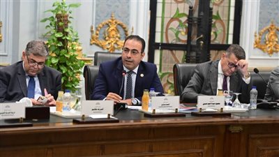 رئيس لجنة الشباب بالنواب ينتقد مافيا التعيينات بوزارة البترول