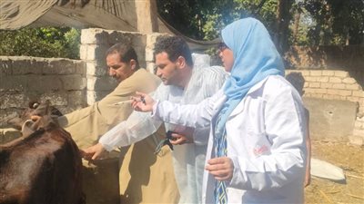 تحصين 3565 رأس ماشية خلال اليوم الأول بالفيوم