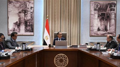 رئيس الوزراء يتابع جهود توافر الأدوية والتعامل مع مشكلة النواقص