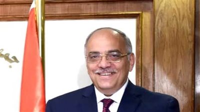 شريف وديع: الأعلى لمراجعة أخلاقيات البحوث الاكلينيكية يضمن حماية حقوق المبحوثين ودعمهم