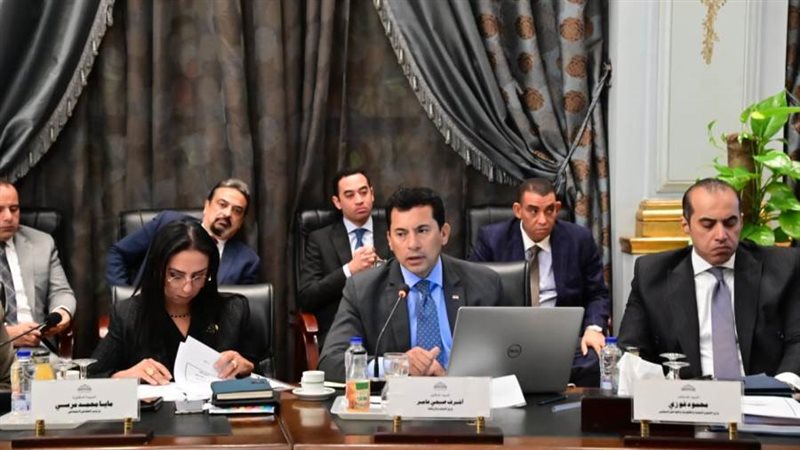 د. أشرف صبحى