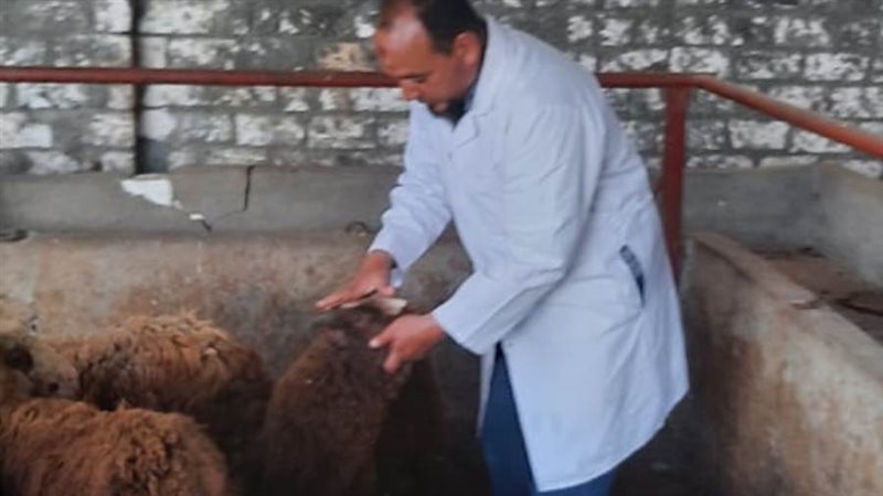 قافلة بيطرية مجانية