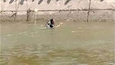 غرق مسن في ترعة بإدفو شمال أسوان