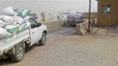 صوامع وشون الشرقية تستقبل 616069 طنًا من الذهب الأصفر 