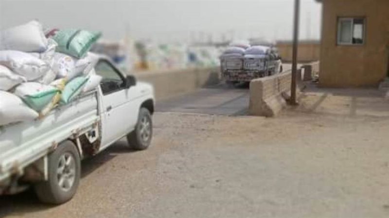 توريد القمح