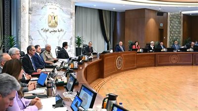 الحكومة توافق على طلب 