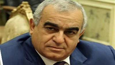 أبو المجد : بيان البرادعي 