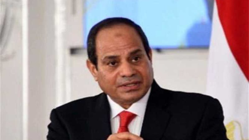 السيسى: قضية نقيب