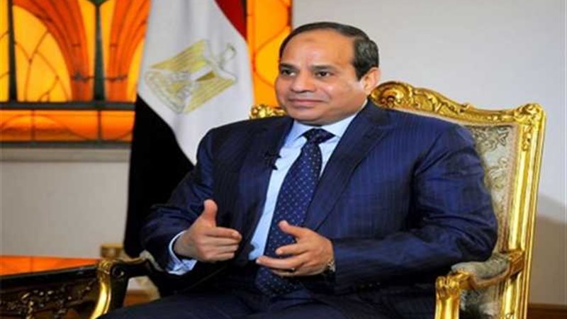 السيسى يلتقى نائب