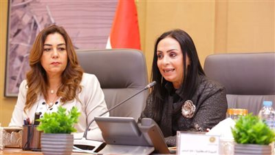 وزيرة التضامن تعلن إعادة هيكلة بنك ناصر