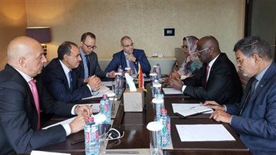 وزير الخارجية والهجرة يعرب عن تقدير مصر الكبير للرئاسة الموريتانية الحالية للاتحاد الإفريقي